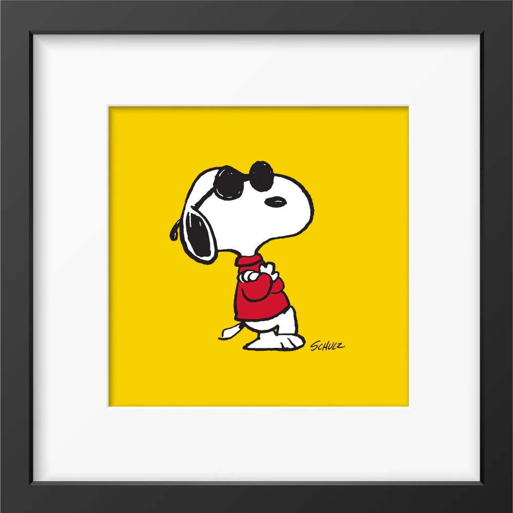תמונה ממוסגרת 33x33 - Joe Cool